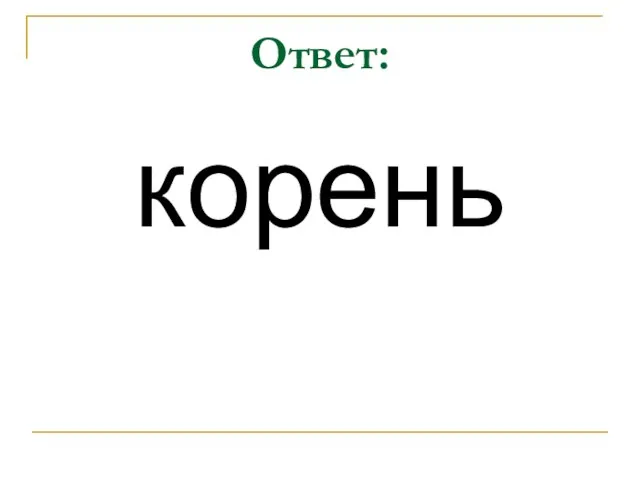 Ответ: корень