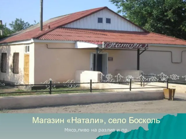 Магазин «Натали», село Босколь Мясо,пиво на разлив и пр.