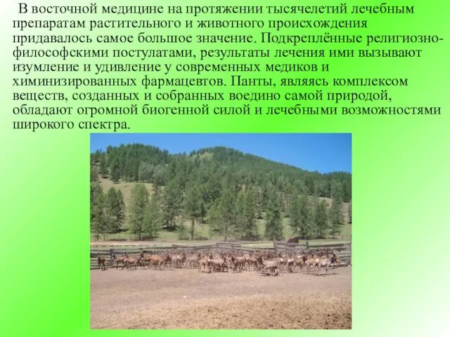 В восточной медицине на протяжении тысячелетий лечебным препаратам растительного и животного происхождения