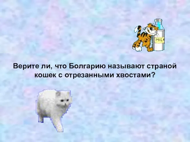 Верите ли, что Болгарию называют страной кошек с отрезанными хвостами?