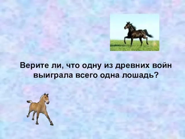 Верите ли, что одну из древних войн выиграла всего одна лошадь?