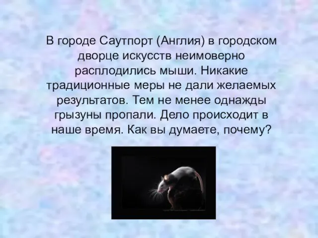 В городе Саутпорт (Англия) в городском дворце искусств неимоверно расплодились мыши. Никакие