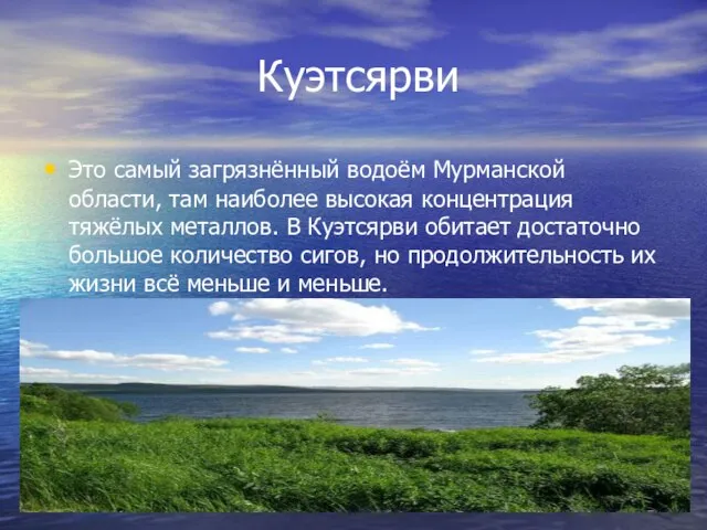 Куэтсярви Это самый загрязнённый водоём Мурманской области, там наиболее высокая концентрация тяжёлых