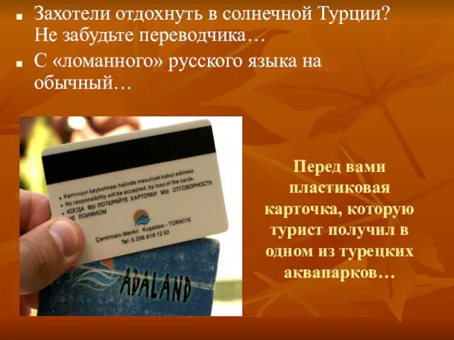 Перед вами пластиковая карточка, которую турист получил в одном из турецких аквапарков…