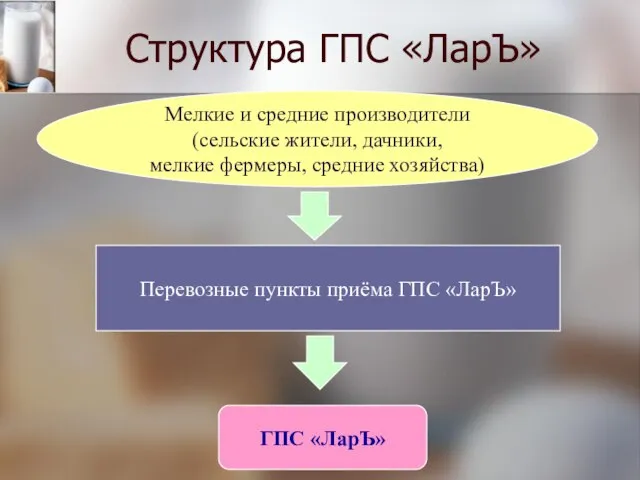 Структура ГПС «ЛарЪ» Мелкие и средние производители (сельские жители, дачники, мелкие фермеры,