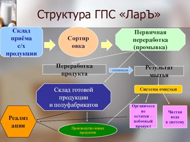 Структура ГПС «ЛарЪ» Склад приёма с/х продукции Сортировка Первичная переработка (промывка) Результат