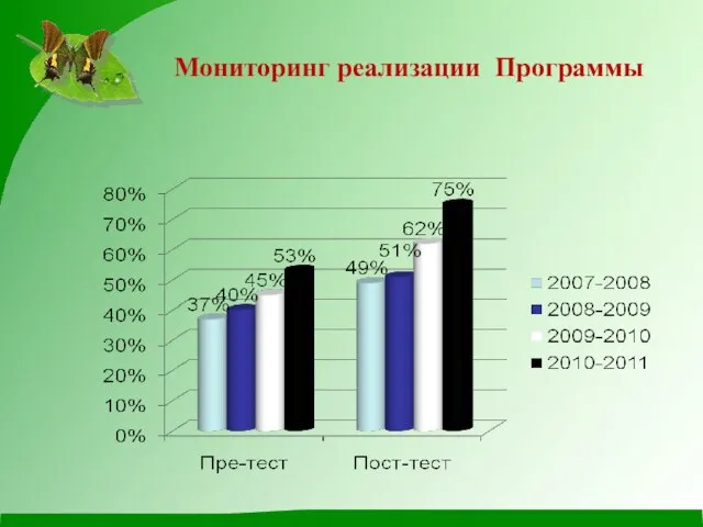 Мониторинг реализации Программы