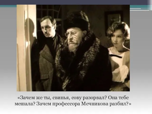 «Зачем же ты, свинья, сову разорвал? Она тебе мешала? Зачем профессора Мечникова разбил?»