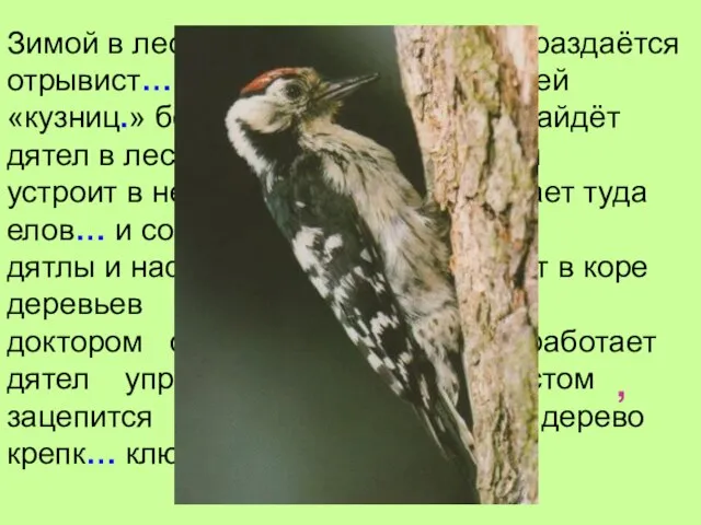 Зимой в лесу тихо но где-то вдали раздаётся отрывист… стук это работает