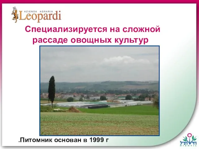Питомник основан в 1999 г. Специализируется на сложной рассаде овощных культур
