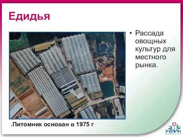 Едидья Питомник основан в 1975 г. Рассада овощных культур для местного рынка.