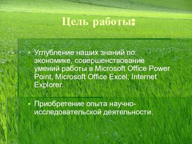 Цель работы: Углубление наших знаний по экономике, совершенствование умений работы в Microsoft