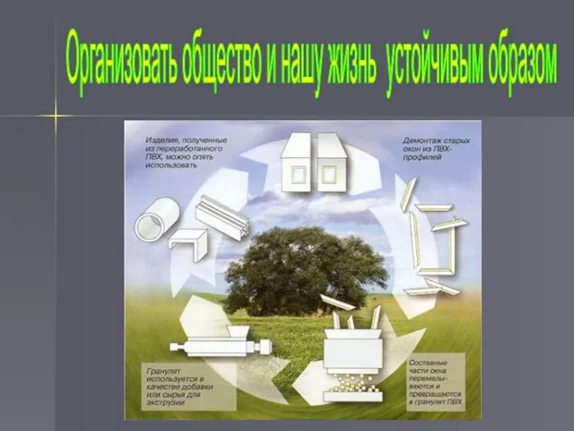 Организовать общество и нашу жизнь устойчивым образом