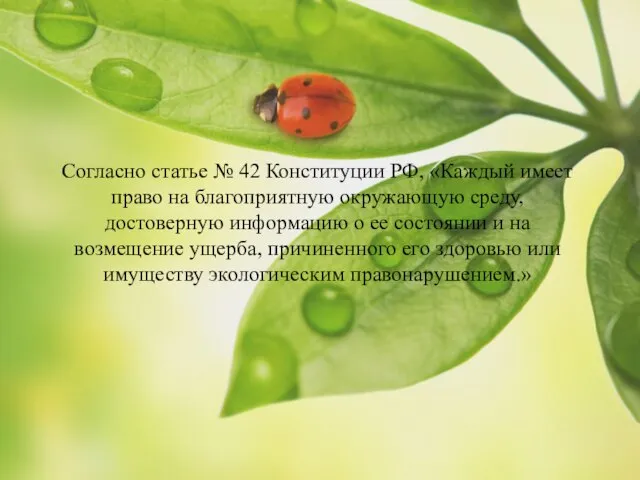 Согласно статье № 42 Конституции РФ, «Каждый имеет право на благоприятную окружающую