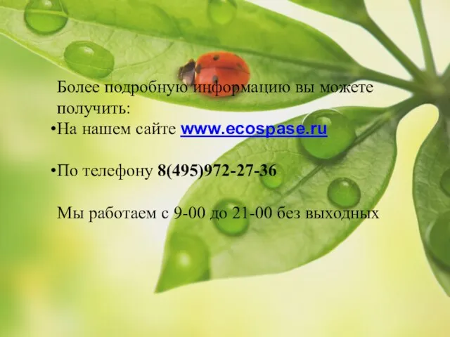 Более подробную информацию вы можете получить: На нашем сайте www.ecospase.ru По телефону