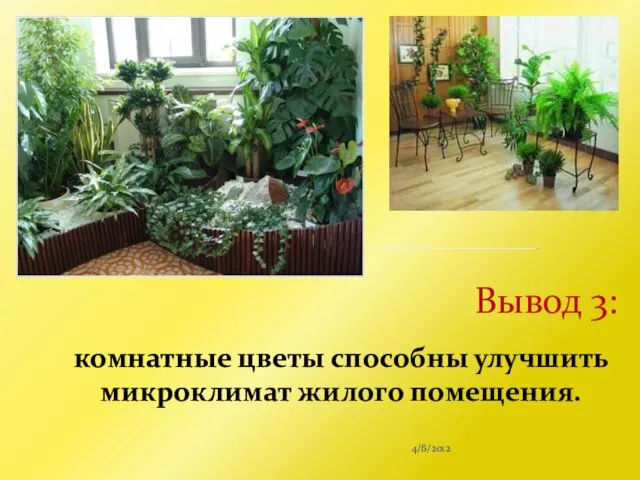 4/8/2012 Вывод 3: комнатные цветы способны улучшить микроклимат жилого помещения.