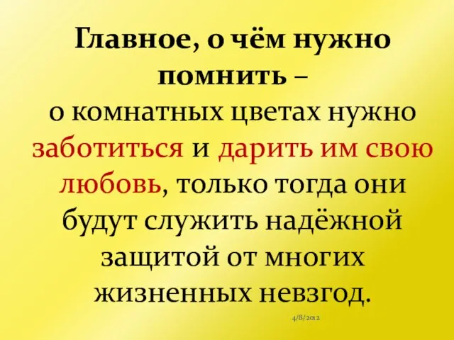 4/8/2012 Главное, о чём нужно помнить – о комнатных цветах нужно заботиться