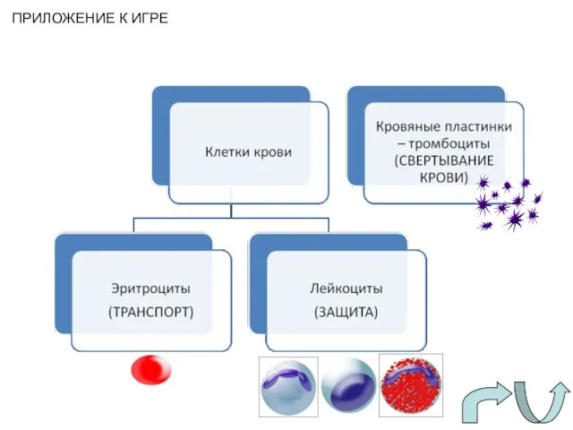 ПРИЛОЖЕНИЕ К ИГРЕ