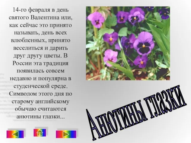 14-го февраля в день святого Валентина или, как сейчас это принято называть,