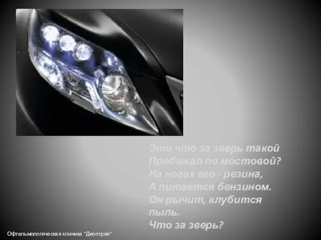 Это что за зверь такой Пробежал по мостовой? На ногах его -