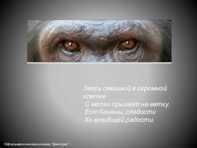 Зверь смешной в огромной клетке С ветки прыгает на ветку. Ест бананы,