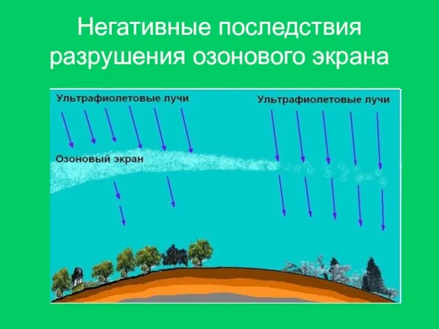 Негативные последствия разрушения озонового экрана