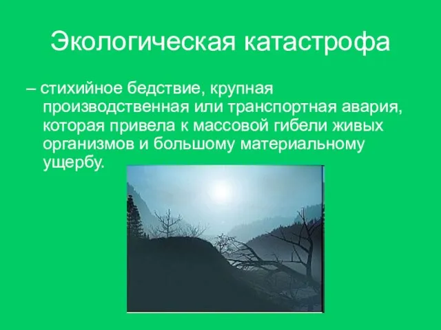 Экологическая катастрофа – стихийное бедствие, крупная производственная или транспортная авария, которая привела