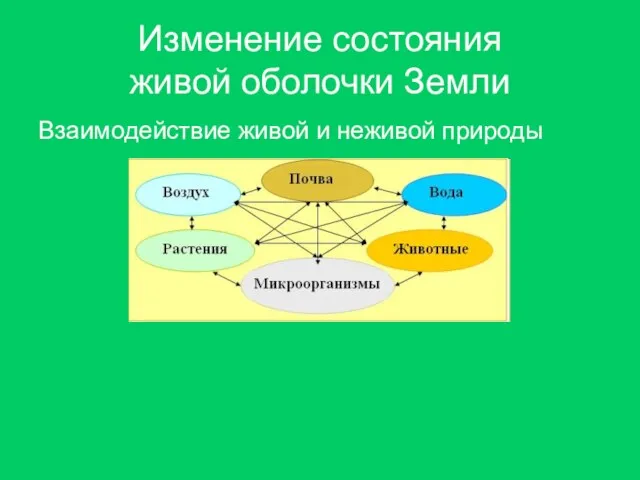 Изменение состояния живой оболочки Земли Взаимодействие живой и неживой природы