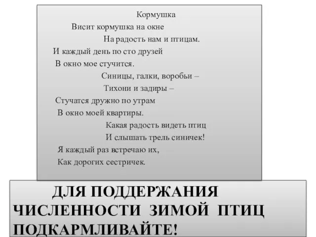 ДЛЯ ПОДДЕРЖАНИЯ ЧИСЛЕННОСТИ ЗИМОЙ ПТИЦ ПОДКАРМЛИВАЙТЕ! Кормушка Висит кормушка на окне На