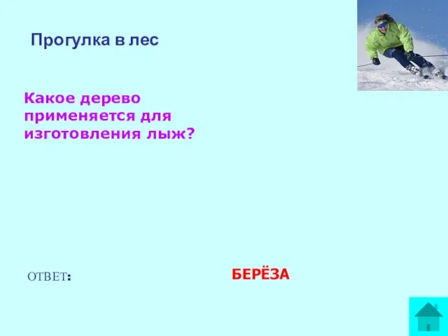 Прогулка в лес Какое дерево применяется для изготовления лыж? ОТВЕТ: БЕРЁЗА