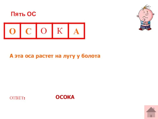 Пять ОС А эта оса растет на лугу у болота ОТВЕТ: ОСОКА О К