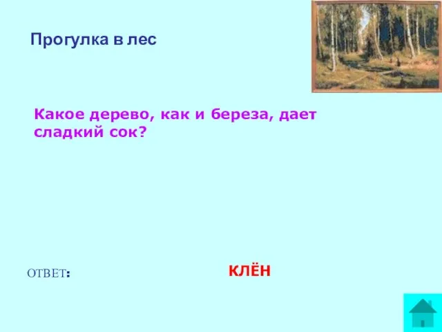 Прогулка в лес Какое дерево, как и береза, дает сладкий сок? ОТВЕТ: КЛЁН