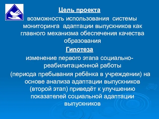 Цель проекта возможность использования системы мониторинга адаптации выпускников как главного механизма обеспечения