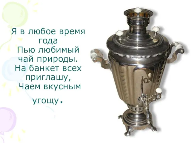 Я в любое время года Пью любимый чай природы. На банкет всех приглашу, Чаем вкусным угощу.