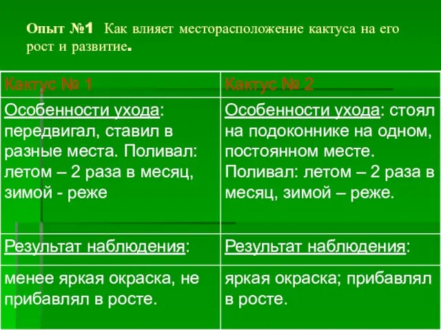 Опыт №1 Как влияет месторасположение кактуса на его рост и развитие.