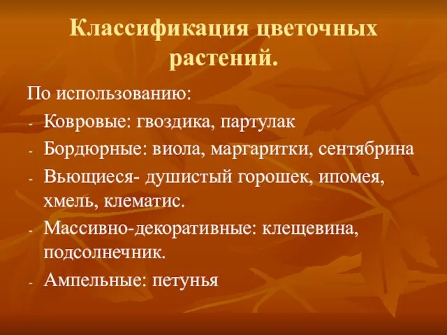 Классификация цветочных растений. По использованию: Ковровые: гвоздика, партулак Бордюрные: виола, маргаритки, сентябрина