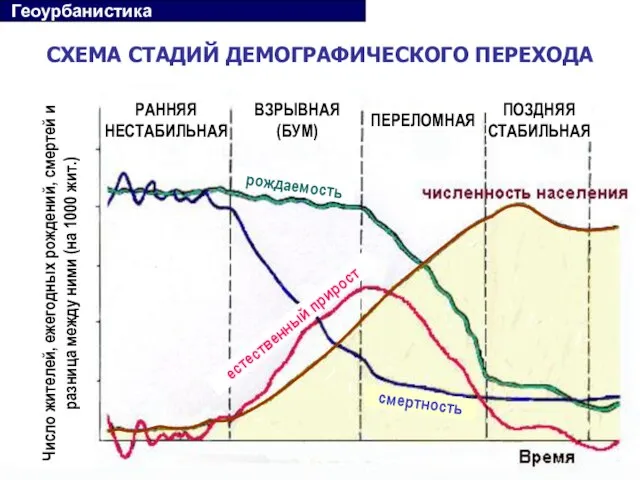 СХЕМА СТАДИЙ ДЕМОГРАФИЧЕСКОГО ПЕРЕХОДА РАННЯЯ НЕСТАБИЛЬНАЯ ВЗРЫВНАЯ (БУМ) ПЕРЕЛОМНАЯ ПОЗДНЯЯ СТАБИЛЬНАЯ рождаемость