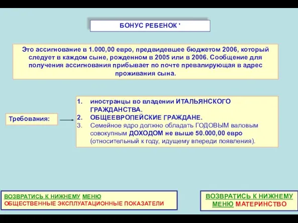 БОНУС РЕБЕНОК ' Это ассигнование в 1.000,00 евро, предвидевшее бюджетом 2006, который