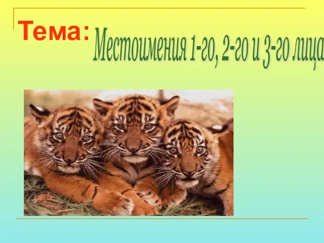 Тема: Местоимения 1-го, 2-го и 3-го лица