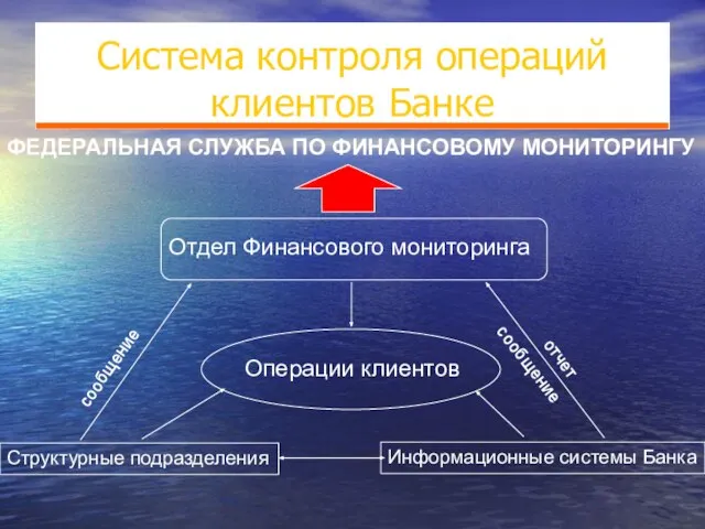 Система контроля операций клиентов Банке Операции клиентов Структурные подразделения Информационные системы Банка