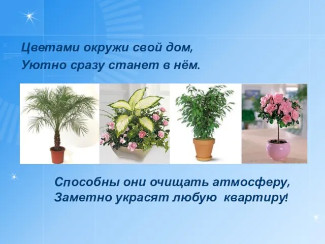 Цветами окружи свой дом, Уютно сразу станет в нём. Способны они очищать