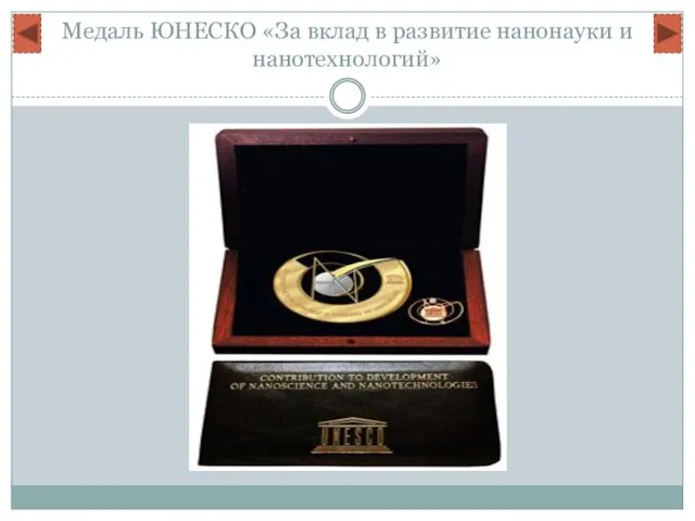 Медаль ЮНЕСКО «За вклад в развитие нанонауки и нанотехнологий»
