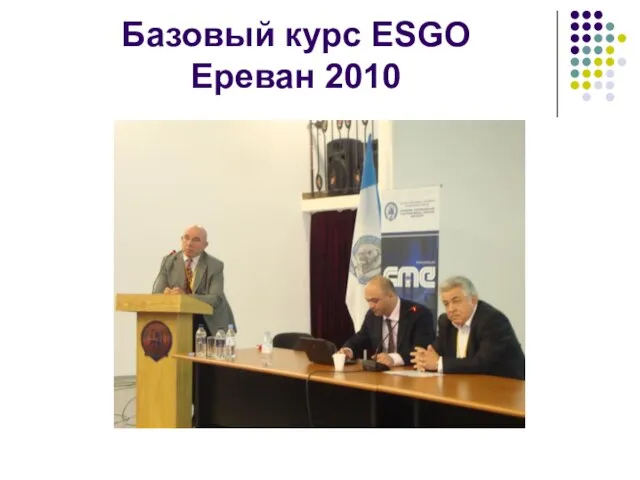 Базовый курс ESGO Ереван 2010