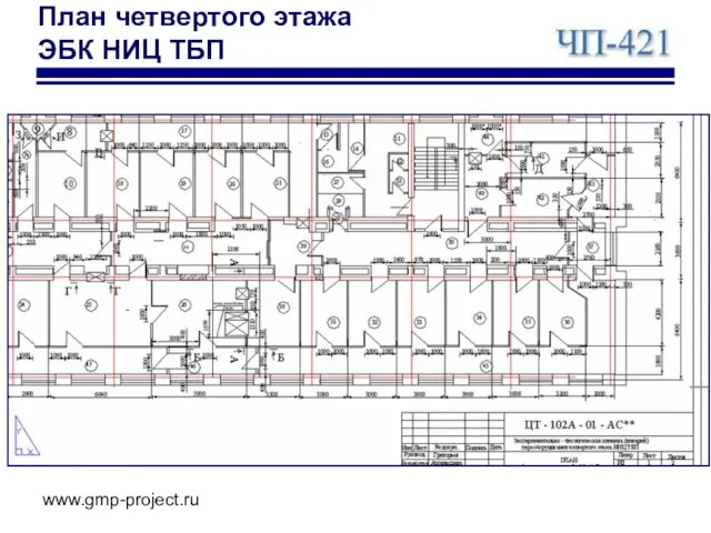 www.gmp-project.ru План четвертого этажа ЭБК НИЦ ТБП