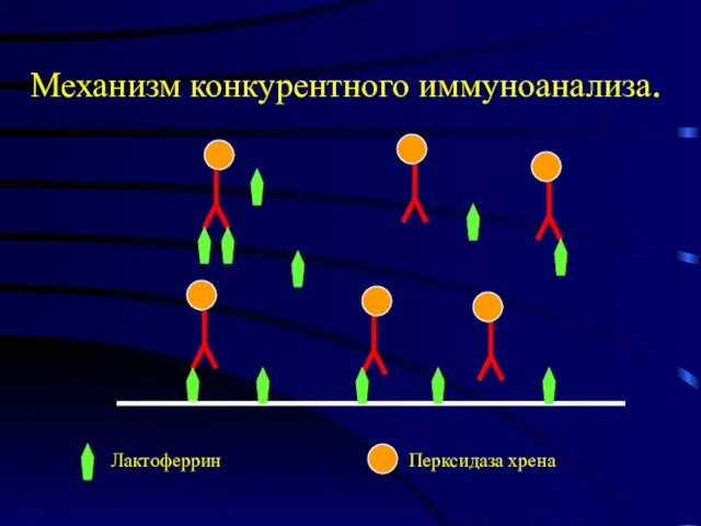 Лактоферрин Перксидаза хрена Механизм конкурентного иммуноанализа.