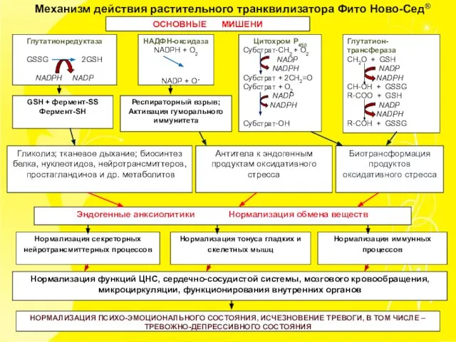 Механизм действия растительного транквилизатора Фито Ново-Сед® ОСНОВНЫЕ МИШЕНИ Глутатионредуктаза GSSG 2GSH NADPH