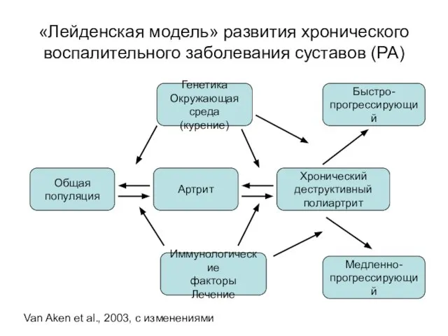 «Лейденская модель» развития хронического воспалительного заболевания суставов (РА) Общая популяция Артрит Хронический