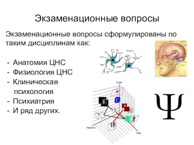 Экзаменационные вопросы Анатомия ЦНС Физиология ЦНС Клиническая психология Психиатрия И ряд других.