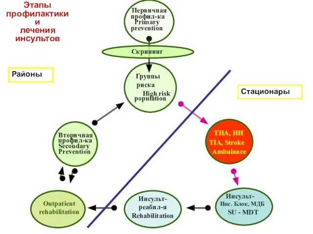 ТИА, ИИ TIA, Stroke Ambulance Инсульт- реабил-я Rehabilitation Outpatient rehabilitation Скрининг Первичная