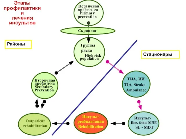 ТИА, ИИ TIA, Stroke Ambulance Outpatient rehabilitation Скрининг Первичная профил-ка Primary prevention